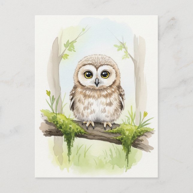 Carte postale Jeune hibou Bébé Animaux sauvages (Devant)