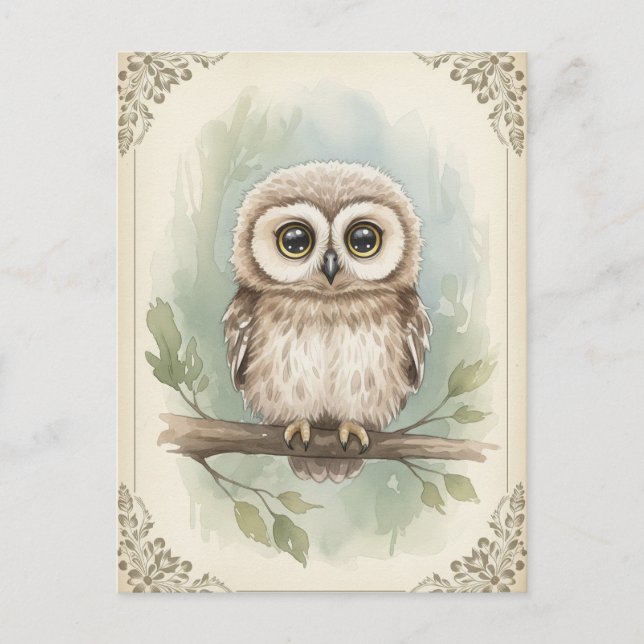 Carte postale Jeune hibou Bébé Animaux sauvages (Devant)
