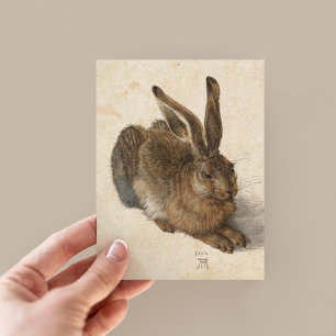 Carte Postale Jeune lièvre   Albrecht Dürer