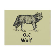 Jeune loup de Cherokee