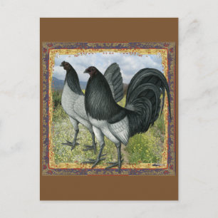 Carte Postale Jeux Américains :  Self Blue ou Dun