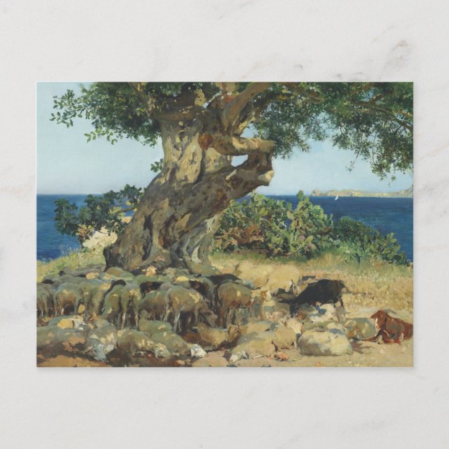 Carte Postale Joaquin Sorolla - Le Carob Tree (Devant)