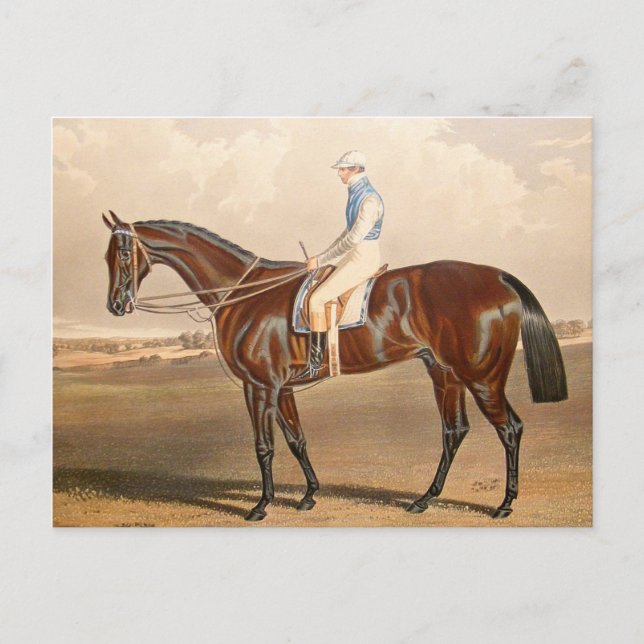 Carte Postale Jockey vintage Sur Hippocampe (Devant)