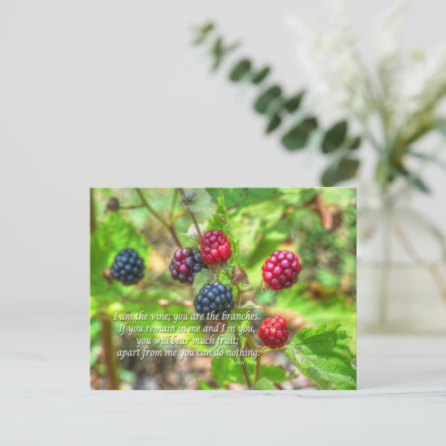 Carte Postale John 15:5 (Debout devant)