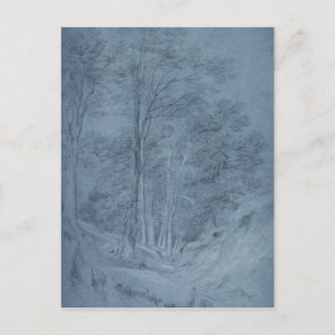 Carte Postale John Constable   Étude des cendres et autres arbre