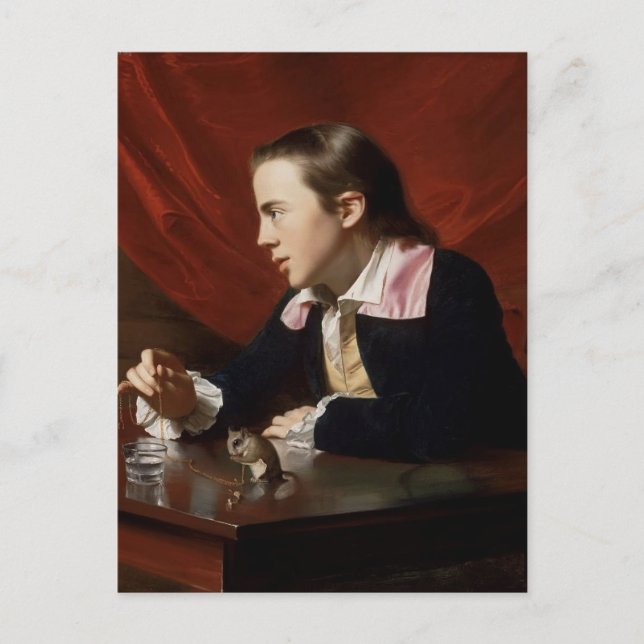 Carte Postale John Copley- Garçon avec écureuil (Henry Pelham) (Devant)