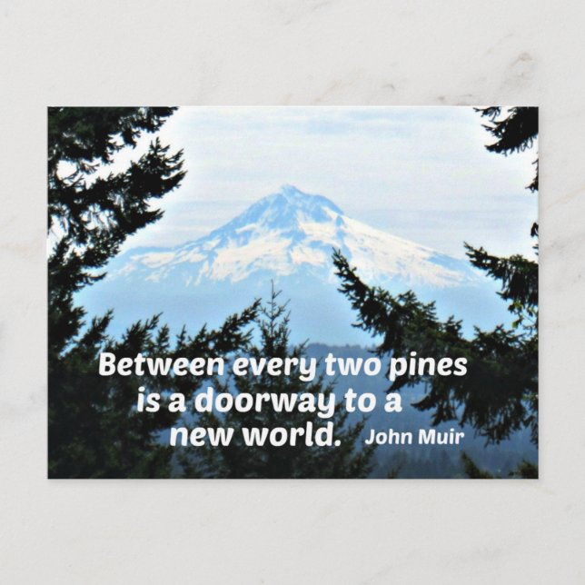 Carte Postale John Muir : "Entre deux pins est une porte" (Devant)