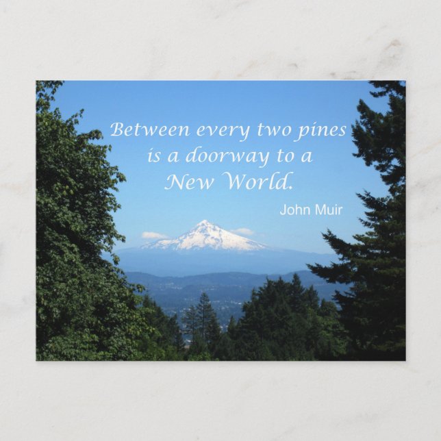 Carte Postale John Muir : "Entre deux pins est une porte" (Devant)