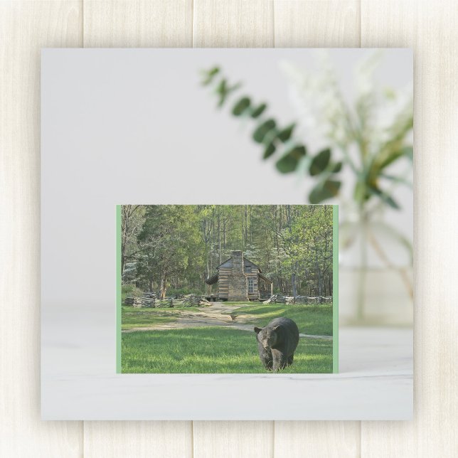 Carte Postale John Oliver Cabine (Créateur téléchargé)