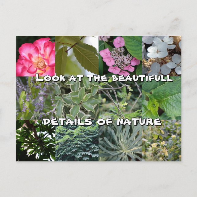 Carte Postale joie texte fleur feuille vert jardin printemps (Devant)