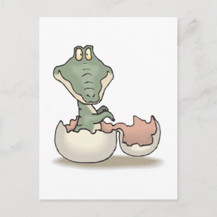 Carte Postale joli bébé alligator à éclosion