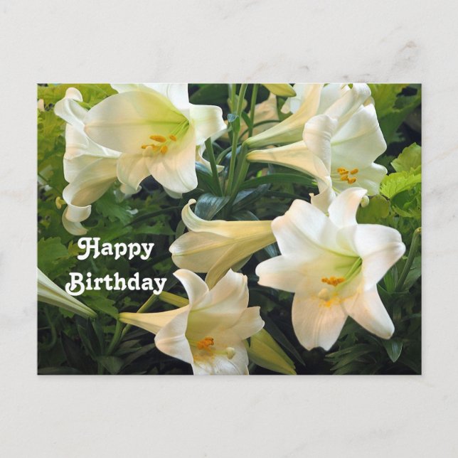 Carte Postale Joli blanc Pâques Lys Floral Photo Anniversaire (Devant)