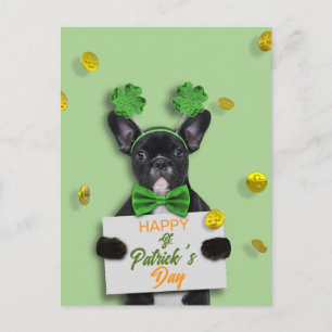 Carte Postale Joli Bouledogue Français Joyeuse Saint-Patrick Trè