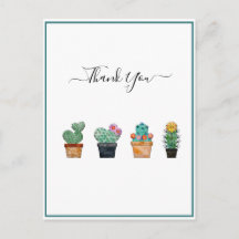 Joli cactus fleurs de verdure