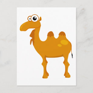 Carte Postale Joli chameau