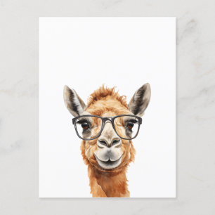 Carte Postale Joli chameau avec lunettes