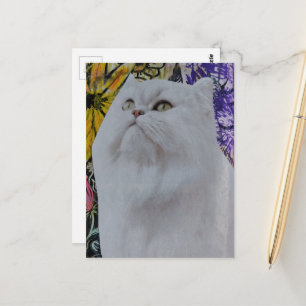 Carte Postale Joli chat blanc dans un collage de fleurs