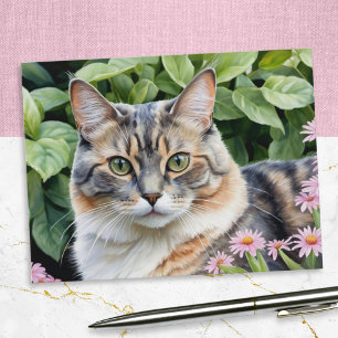 Carte Postale Joli Chat Tortue Écaillé Dilué Dans Le Jardin