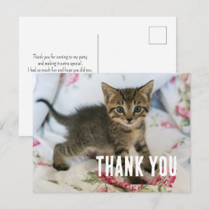 Carte Postale Joli chaton tabby surpris Merci