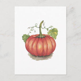 Carte Postale Joli Citrouille Avec Vins En Aquarelle