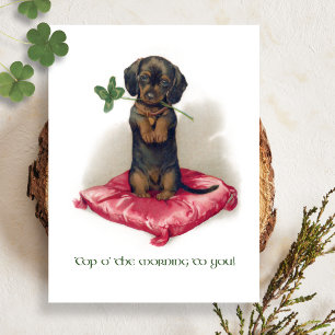Carte Postale Joli Dachshund Vintage St. Patrick's Day avec trèf