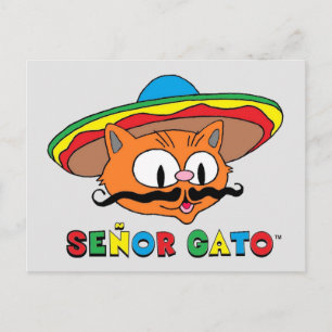 Carte Postale Joli Drôle Coloré Cartoon Chat Cinco de Mayo