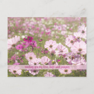 Carte Postale Joli Fuchsia Cosmos rose Fleur Champ soleil