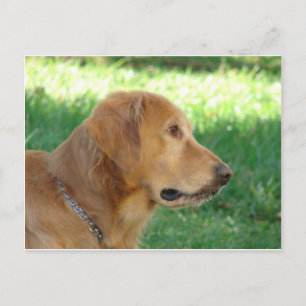 Carte Postale Joli garçon