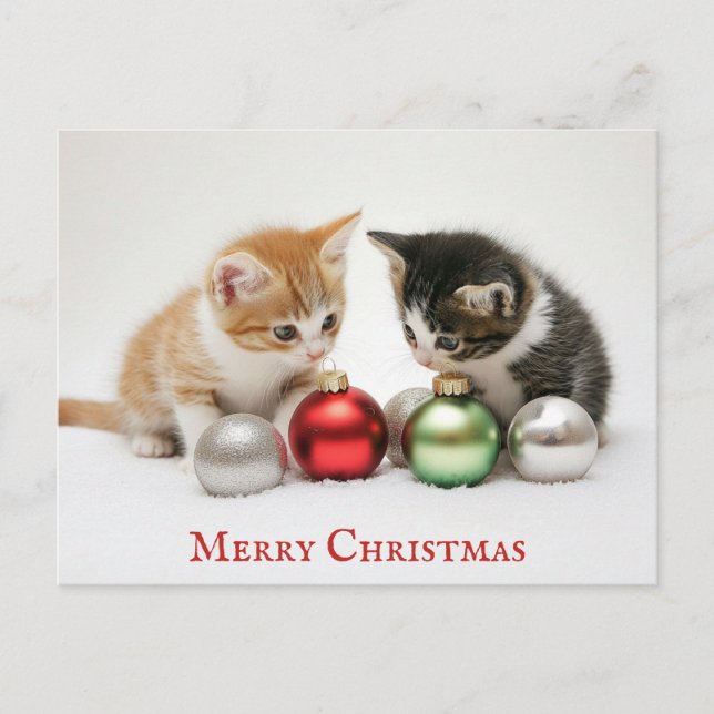 Carte Postale Joli Joyeux Chat de Noël Kitten (Devant)