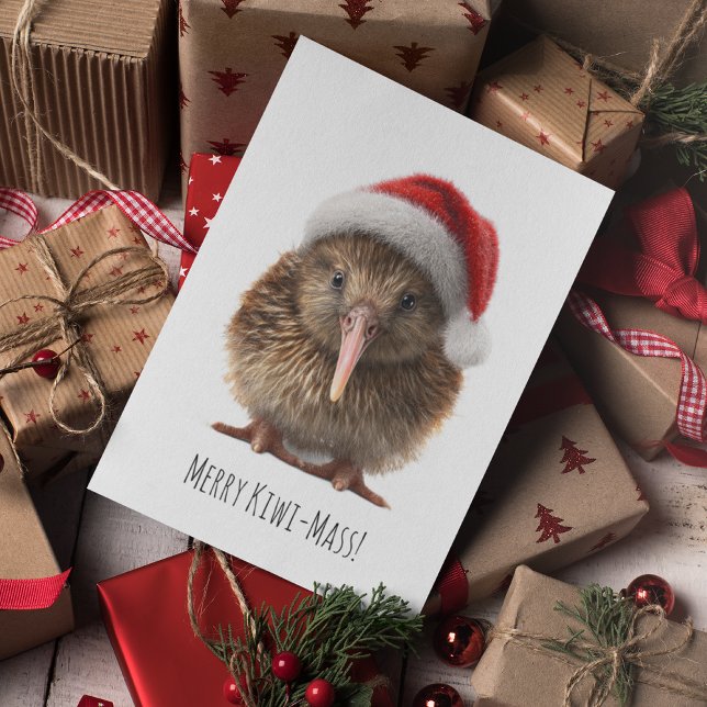 Carte Postale Joli Kiwi de Noël, coutume (Créateur téléchargé)