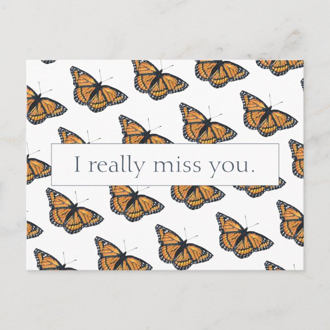 Carte Postale Joli Monarque Papillon Motif Manquant Vous (Devant)