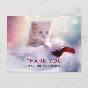 Carte Postale Joli Noël Kitten Merci