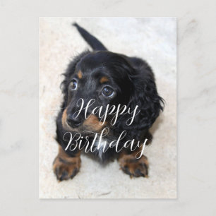 Carte Postale Joli noir Dachshund Chien chiot Anniversaire