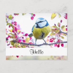 Carte Postale Joli oiseau bleu et jaune sur une branche Bonjour