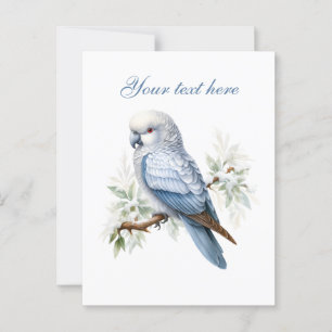 Carte Postale Joli oiseau d'hiver saisonnier ajouter du texte