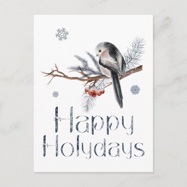 Carte Postale Joli oiseau perché sur une branche de pin (Devant)