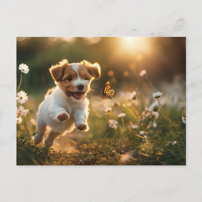 Carte Postale Joli petit chiot à la recherche d'un papillon (Devant)