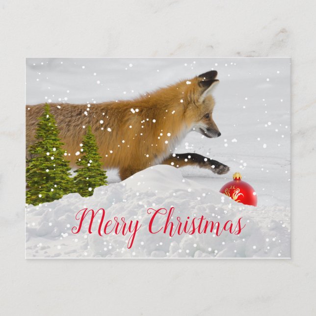 Carte Postale Joli renard de Noël et l'ornement rouge (Devant)