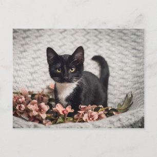 Carte Postale Joli Rose Bella