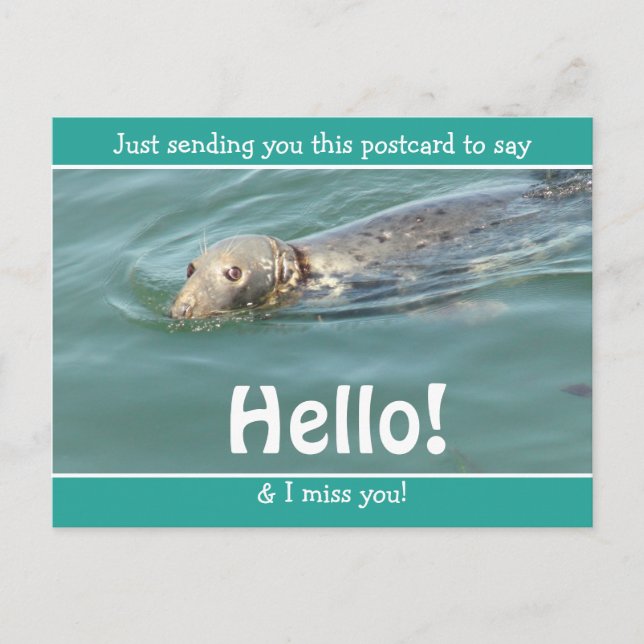 Carte Postale Joli Seal drôle Je dis Bonjour et Mlle Vous (Devant)