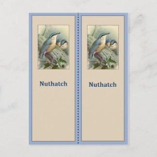 Carte Postale Joli Signet d'oiseaux de Nuthatch