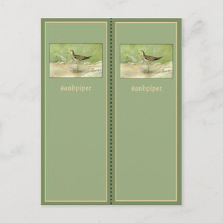 Carte Postale Joli Signet Sandpiper