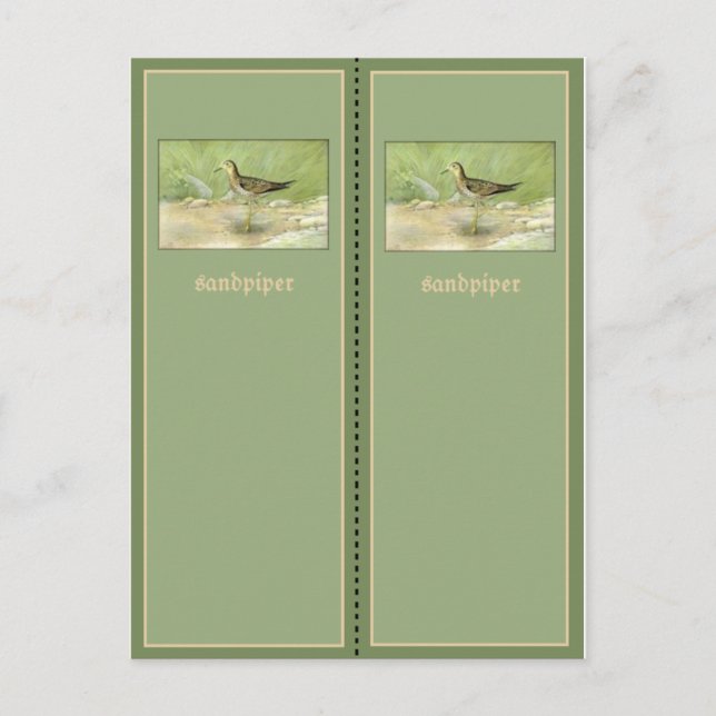 Carte Postale Joli Signet Sandpiper (Devant)