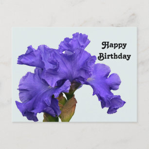 Carte Postale Joli violet Iris Floral Photo Anniversaire