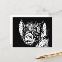 Joli visage de chauve-souris. Graphiques, dessin.