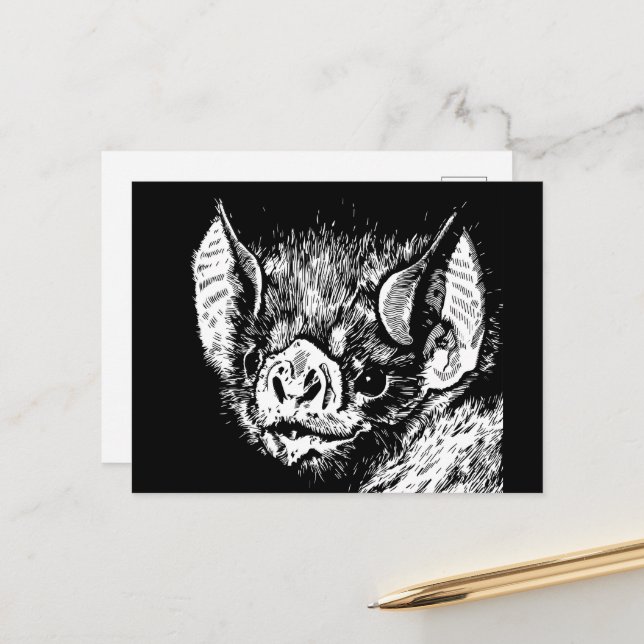 Carte Postale Joli visage de chauve-souris. Graphiques, dessin. (Devant/Arrière en situation)