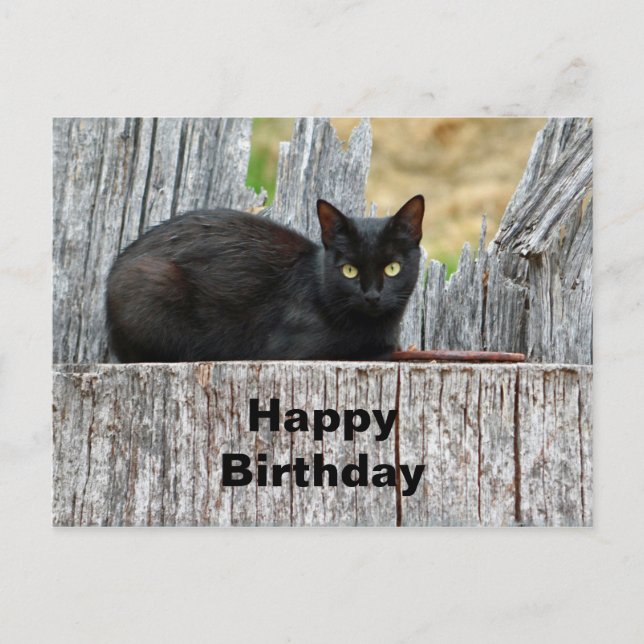 Carte Postale Jolie Black Cat Log Photo Anniversaire (Devant)