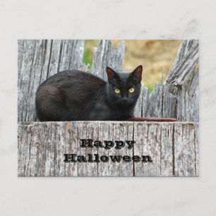 Carte Postale Jolie Black Cat Log Photo Halloween