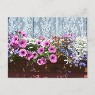 Carte Postale Jolie boîte à fleurs