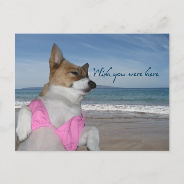 Carte Postale Jolie Corgi vacances d'été Souhaitez-Vous Été Ici  (Devant)